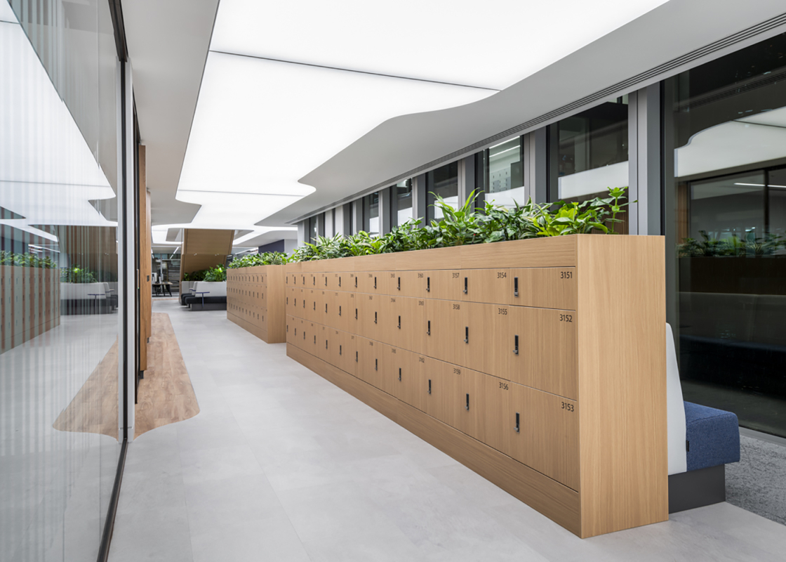 Task | Projects | Insurance Company
